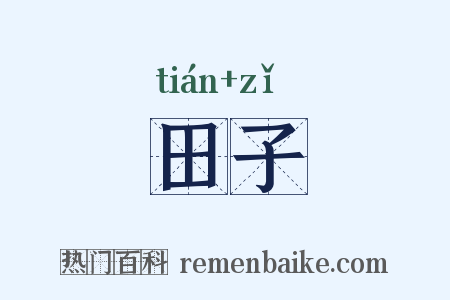 田子是什么意思的图片